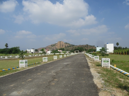 0) Open Plots for Sale in Thanapalli, Tirupati.JPG